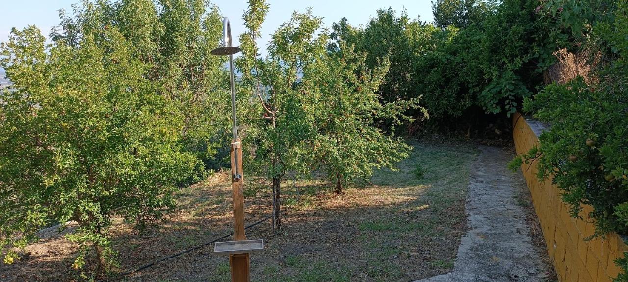 House In Zaloggo Villa Превеза Екстериор снимка